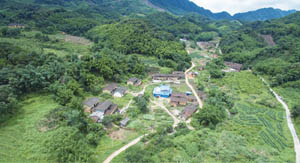 清城特色产业村：飞来峡镇高塱行政村——付蕉村