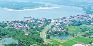 清城特色产业村：东城街道黄金怖行政村——长丰村