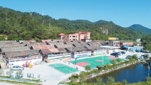 清城特色产业村：飞来峡镇旧岭行政村——铺背村