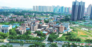 清城美丽乡村：洲心街道连石行政村——岭背村