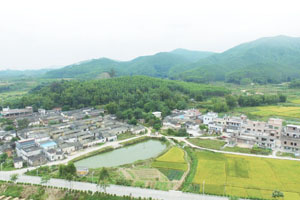 佛冈历史文化村：丰年村